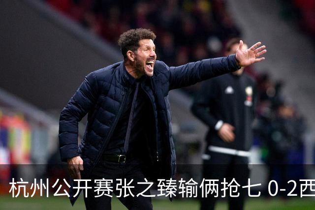 杭州公开赛张之臻输俩抢七 0-2西里奇收获亚军